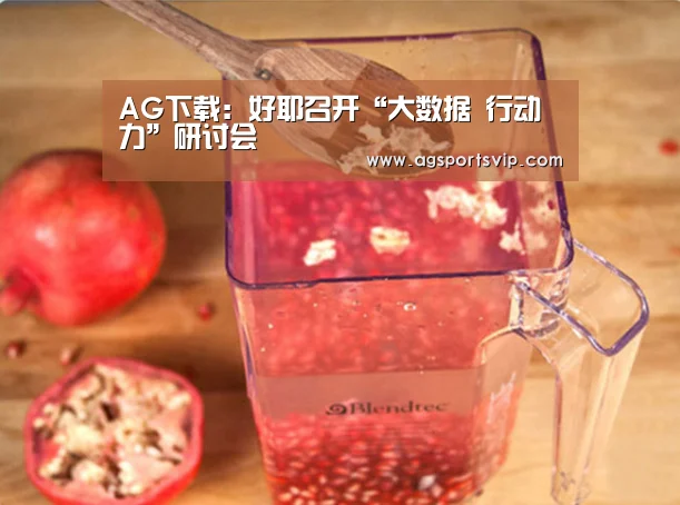 AG下载:好耶召开“大数据 行动力”研讨会(图1) AG地址
